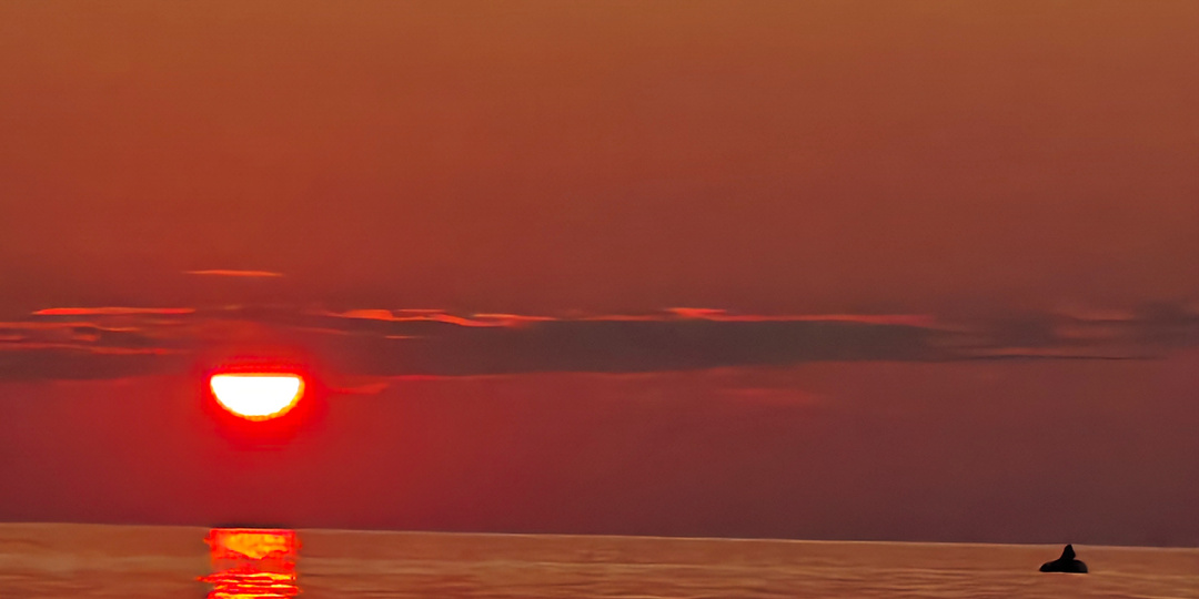 Особенности рыбалки на реке Бурная