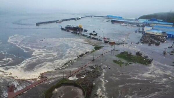    © Sputnik / Камчатский филиал Федерального исследовательского центра единой геофизической службы РАН