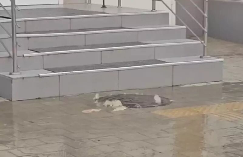 Скрин с видео.
