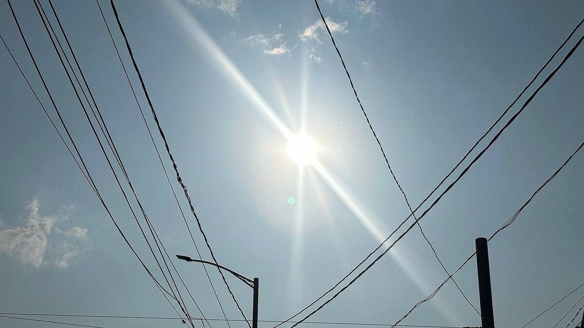    Фото: телекомпании «Краснодар»