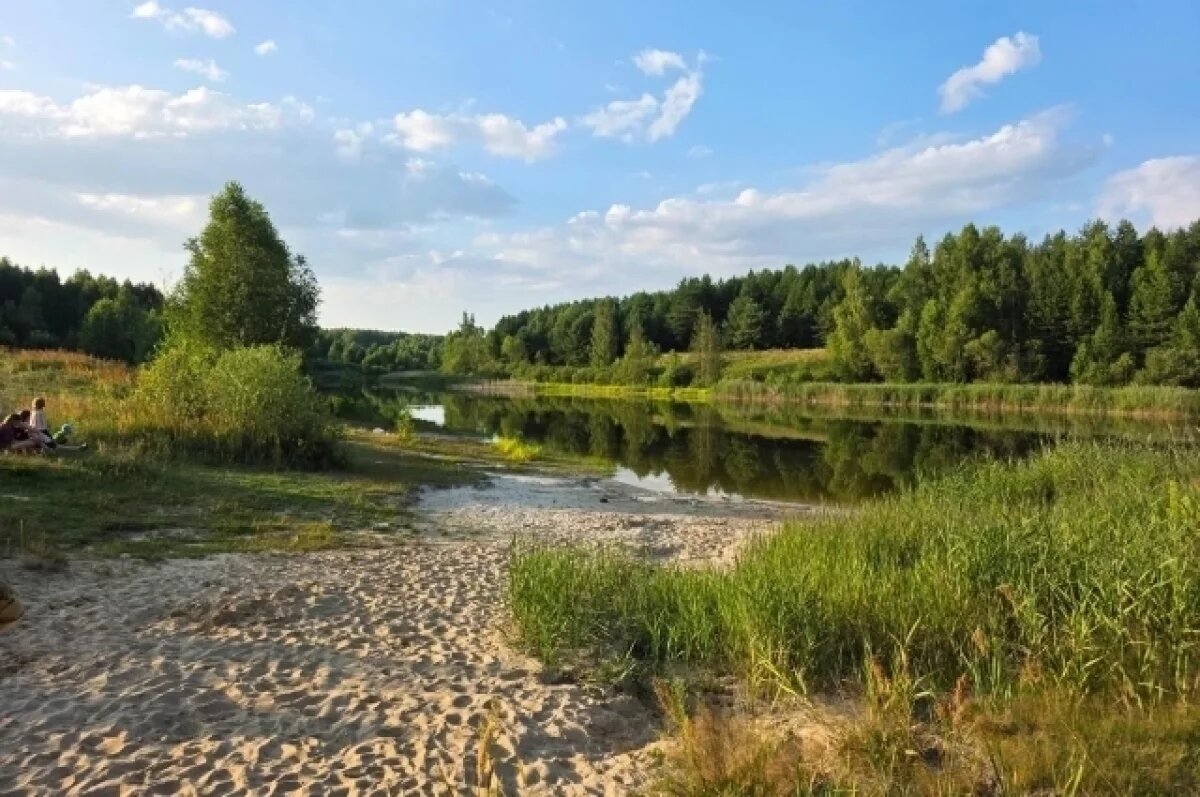    Восьмилетний ребёнок утонул в пруду в Вознесенском районе