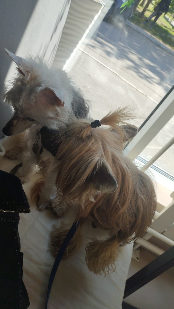 Я вас поздравляю!!! Дай, поцелую💋💋💋