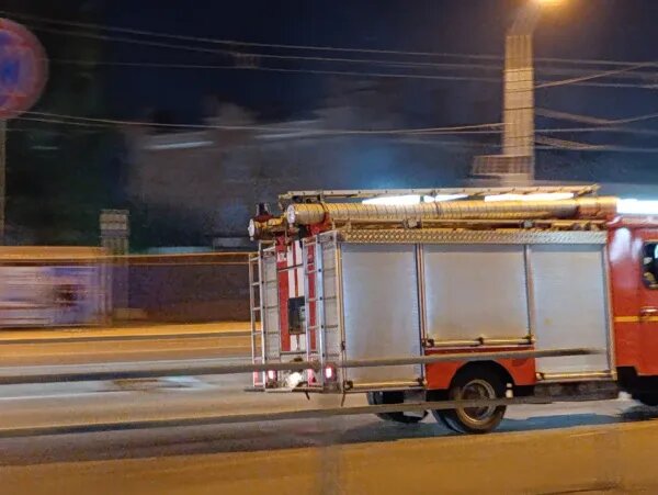 Пожар в приюте унес жизни десятков питомцев