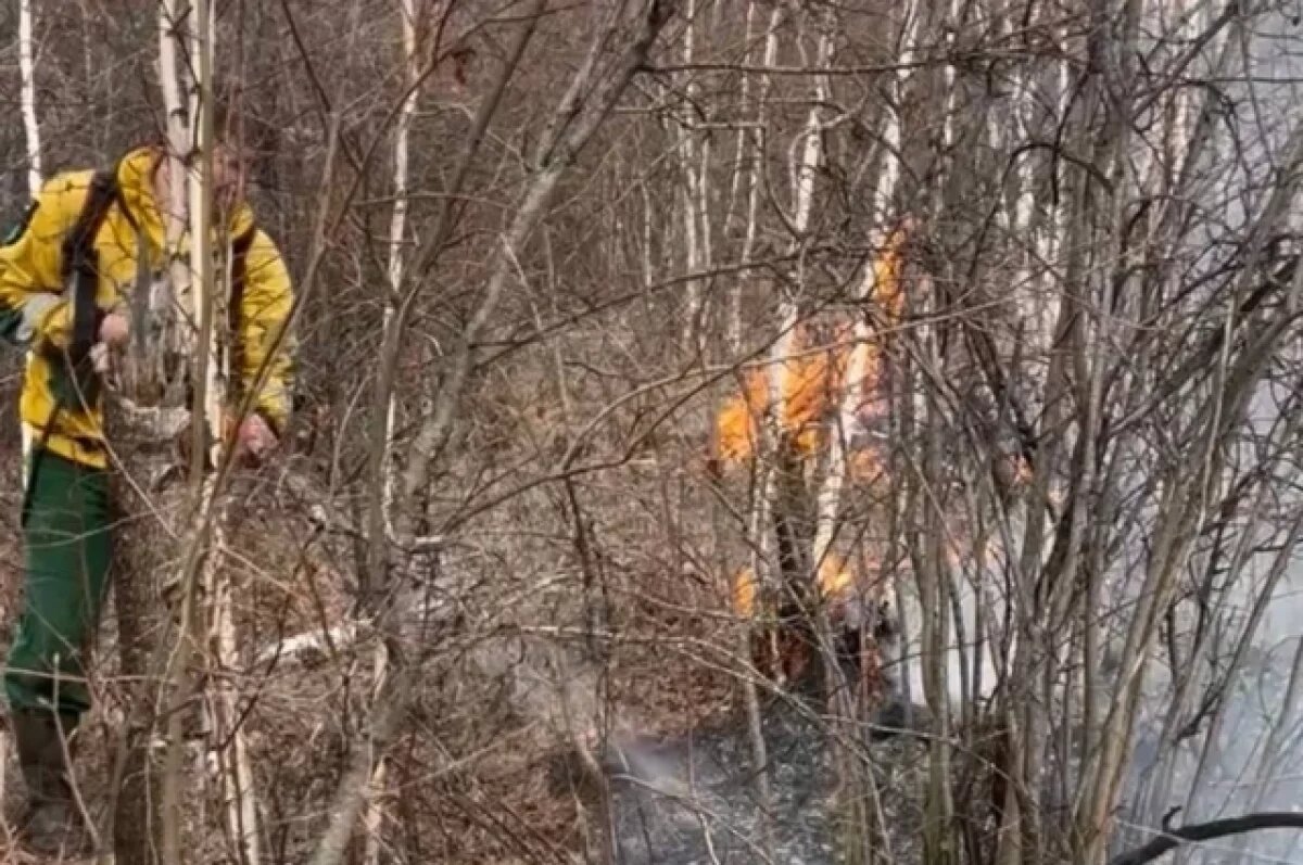    Лесные пожары продолжают ликвидировать в Томпонском районе Якутии
