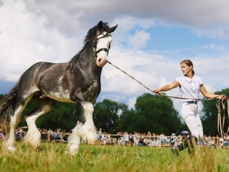     фото правительства ИО