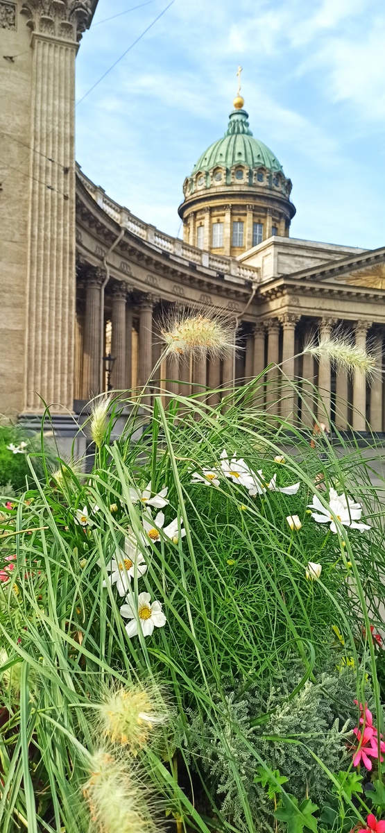 Всё фото в статье авторские. 