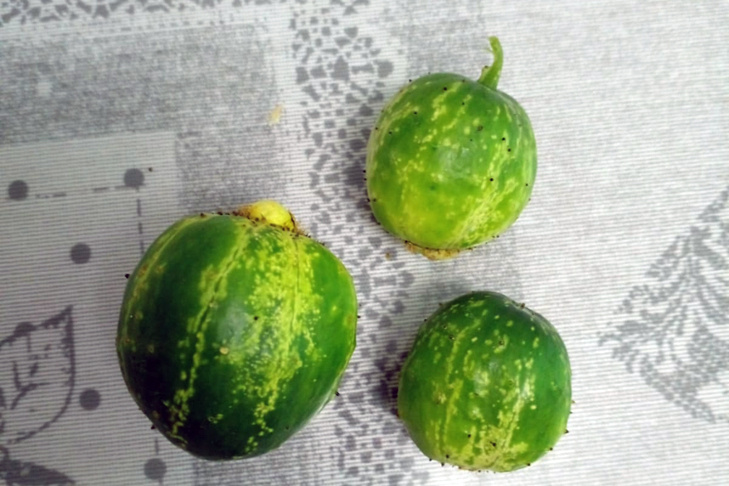    Фото из сообщества газеты «Трудовая правда» во «ВКонтакте»