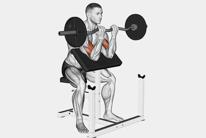 Подъем EZ-штанги / Гантелей на Скамье Скотта