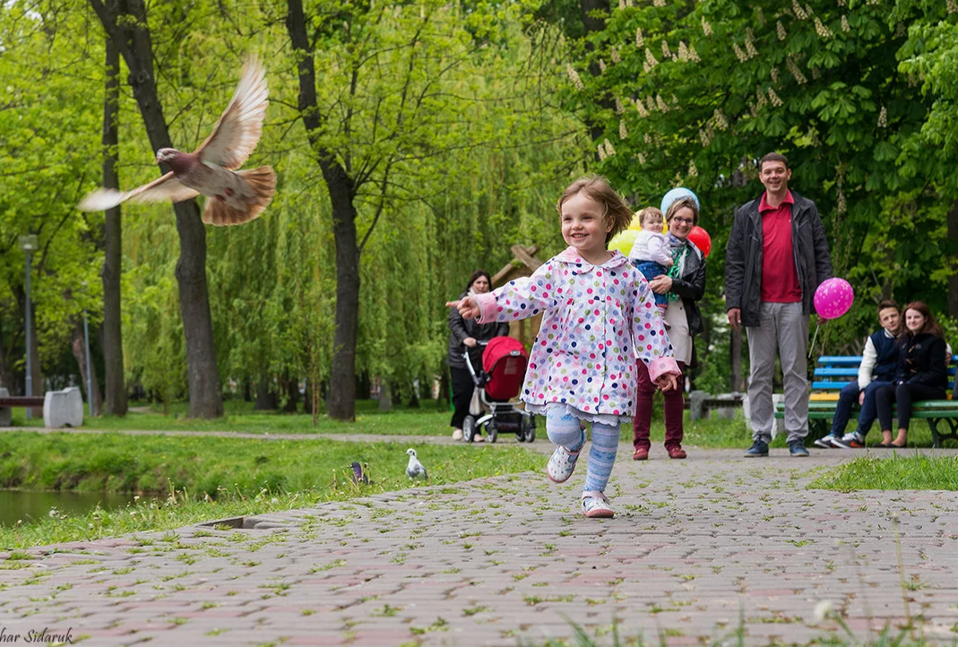 Источник Яндекс.фото