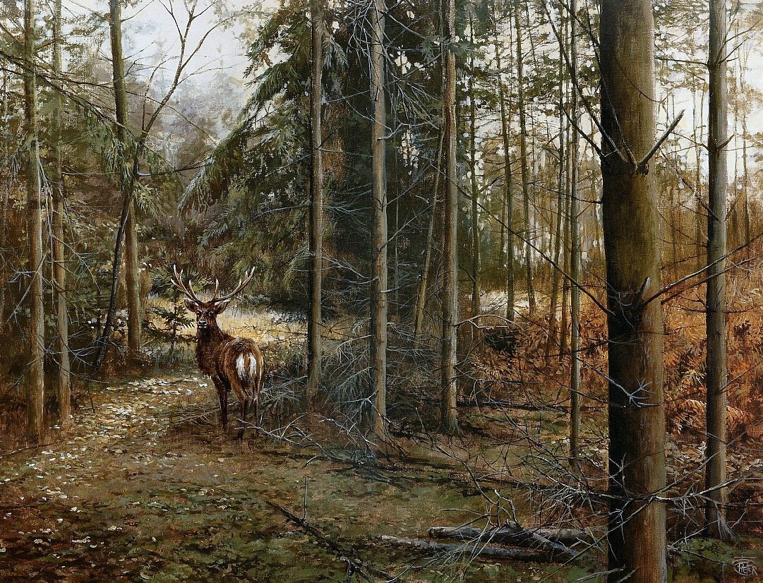 Автор - Питер Верстаппен.