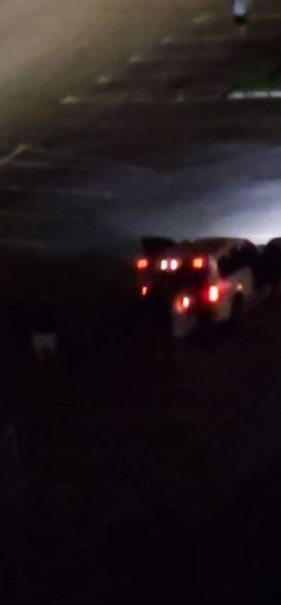    Барнаульцы жалуются на громкие ночные развлечения. Источник: "В курсе 22"