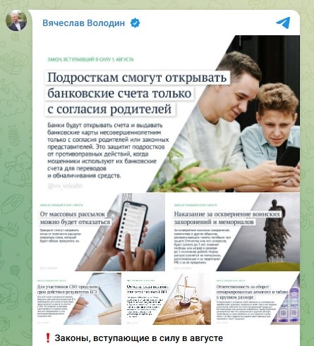    скриншот: телеграм-канал Вячеслава Володина