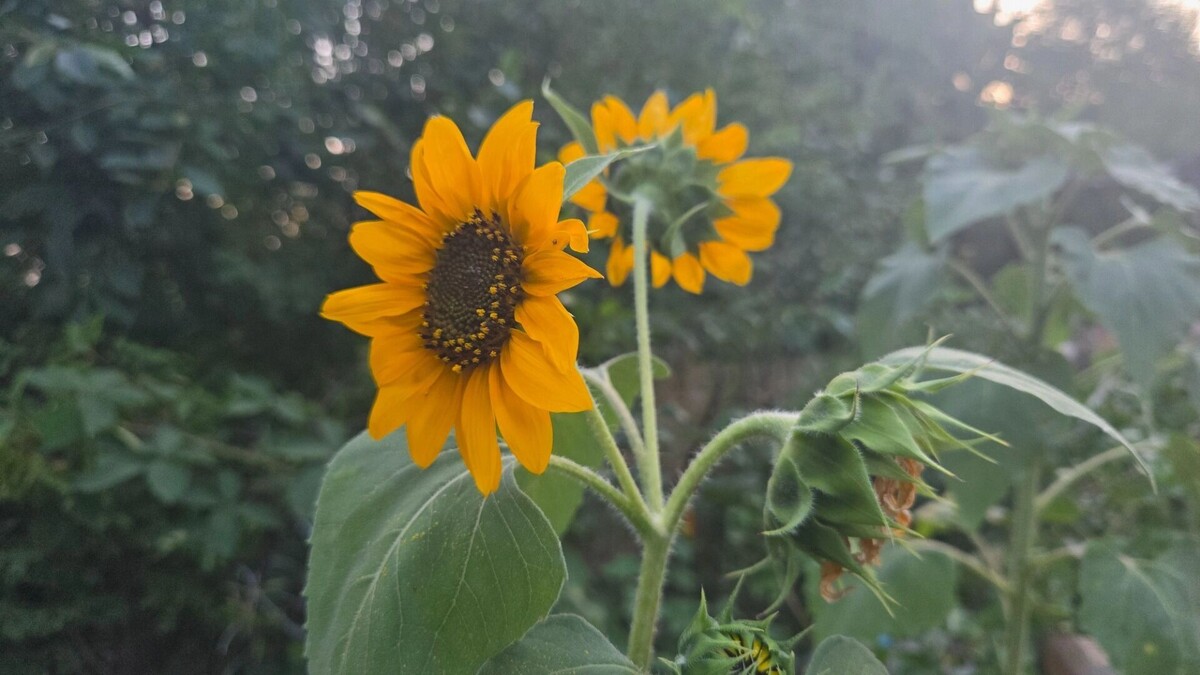     Автор: KubanPress Источник: kubanpress.ru