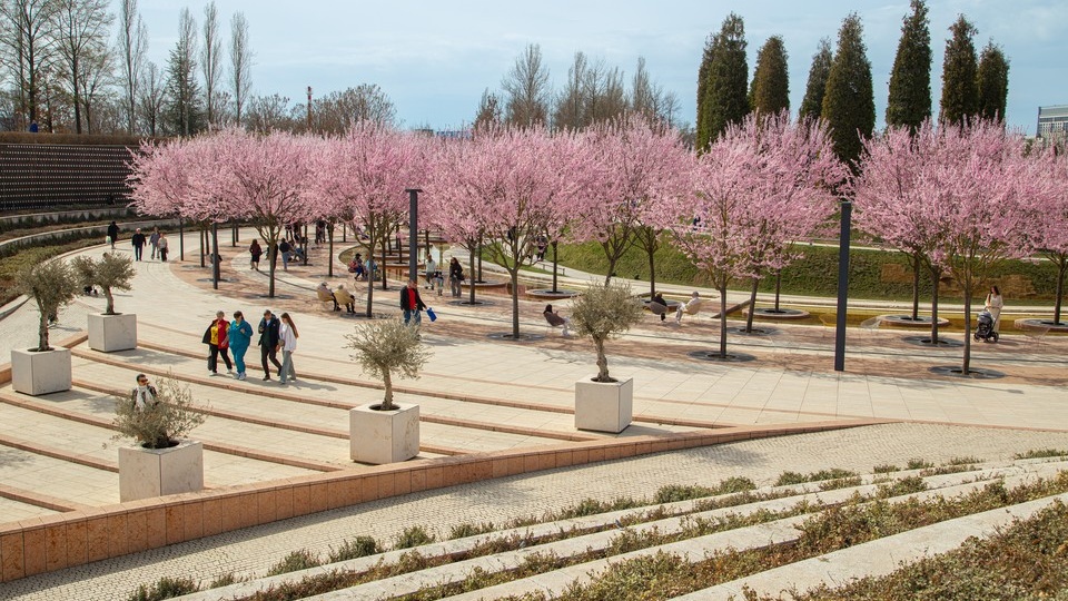 Сергей Галицкий не дал построить восемь ЖК в Краснодаре: Это плохо?