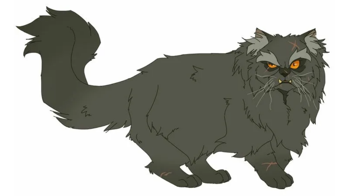 Я считаю, что это очень красивая кошка