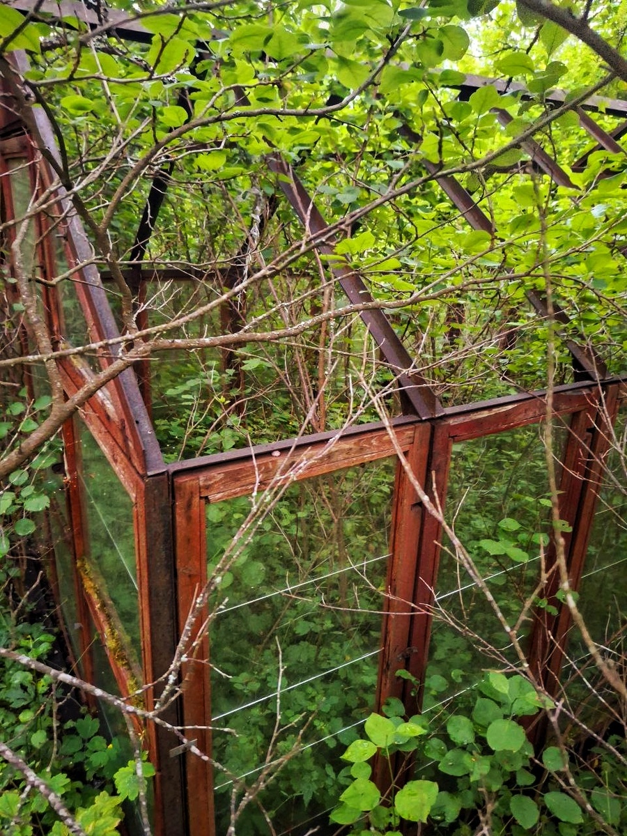 Фото автора статьи (точнее её подруги) 