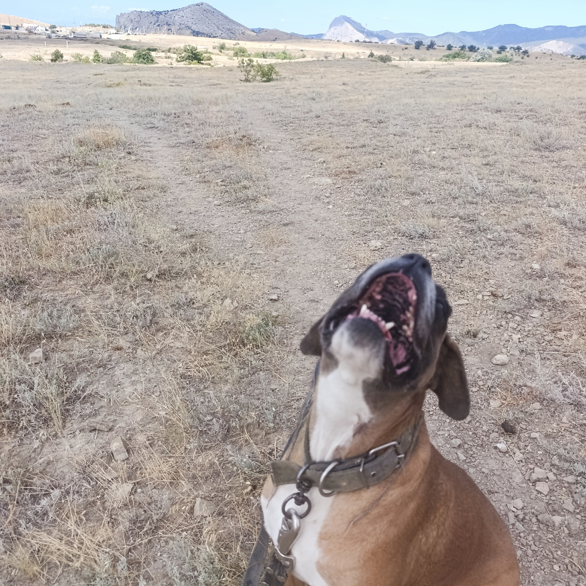 Ну пошлиии ужеее!