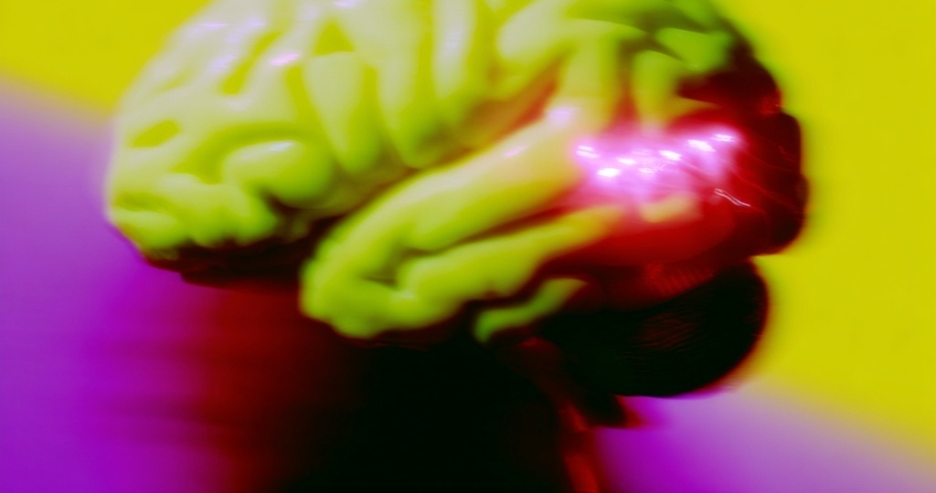 Левая — чувствует, правая — решает? Что скрывают половины нашего тела