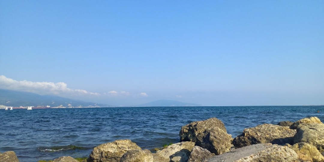 Врач Ширяева предупредила об угрозе онкологии из-за купания в море с мазутом в Анапе