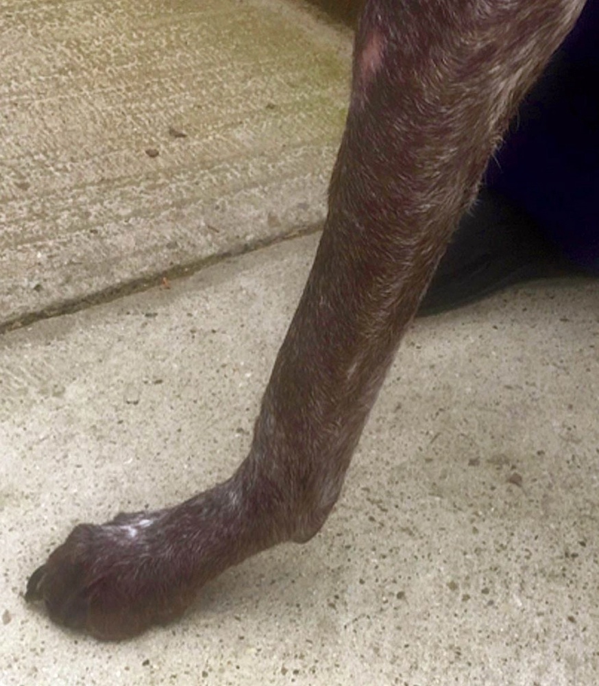 Создать карусель