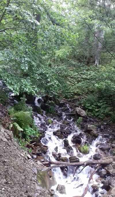 Река Бешенка в Красной поляне