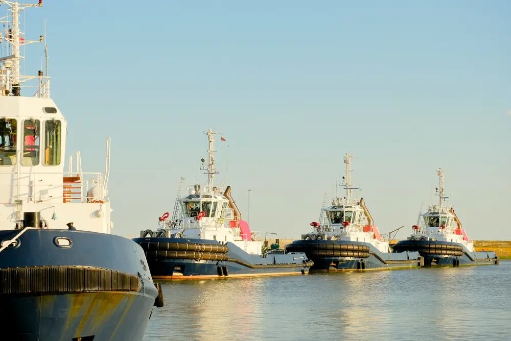    Фото: Shutterstock