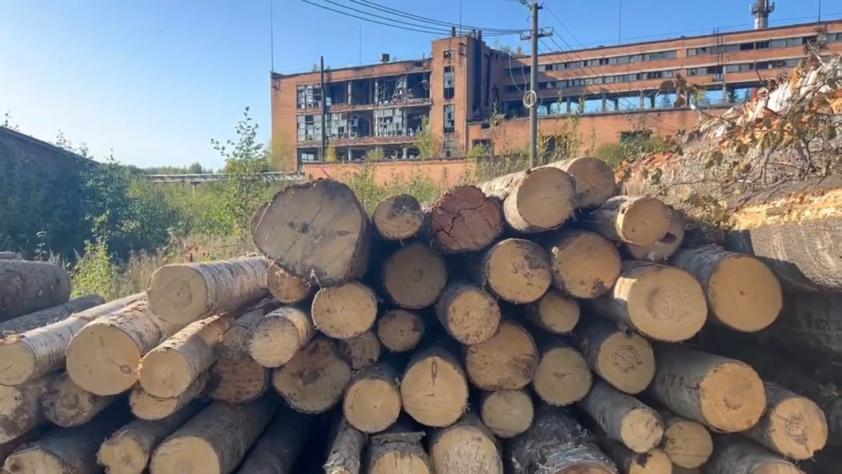    Фото: "Республика" / Илья Лапухин.