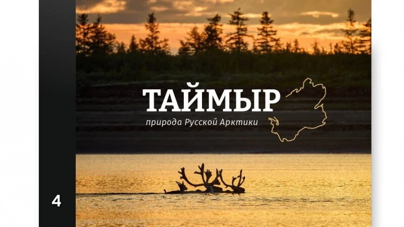     Варианты обложек для книги от Евгения Борисова и его товарищей. Телеграм-канал Евгения Борисова