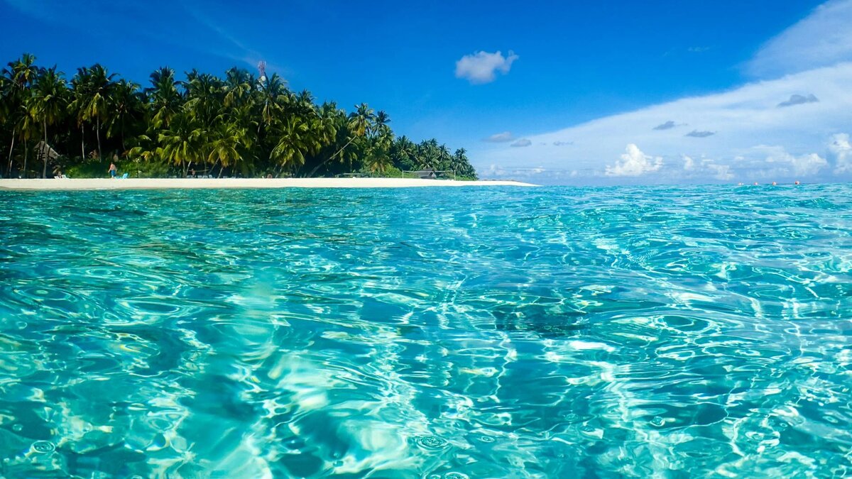 Фото: Getty images