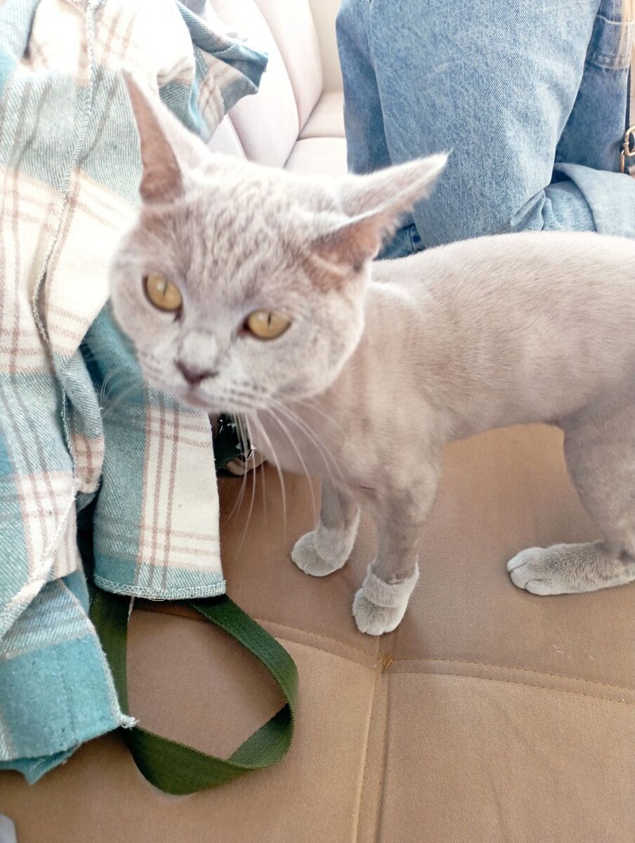 Ждет приема