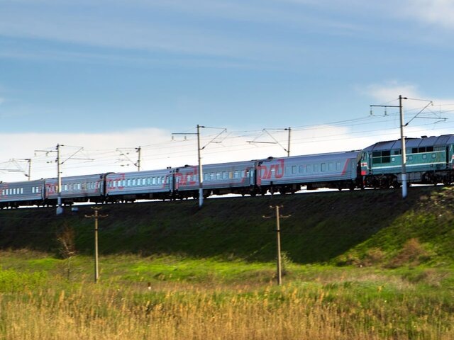    Фото: ТАСС/Максим Каширин