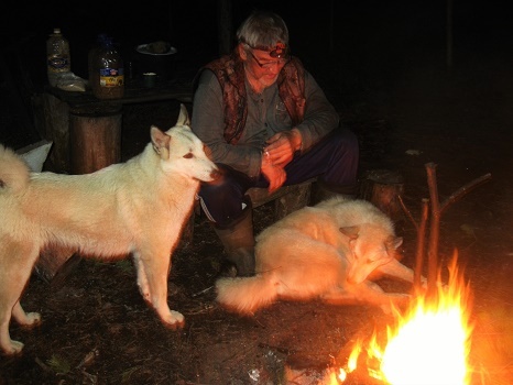 Фотографии Татьяны Немшановой. У ночного костра. В тайге Крайнего Севера Западной Сибири ХМАО Югра, Зауралье, Тайга Крайнего Севера ХМАО Югра. Лайки и охотник. Северная тайга, северная жизнь. Северная осень. Человек севера и его лайки- самые верные друзья таёжника.