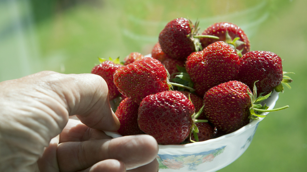    Nikolay Gyngazov/Globallookpress