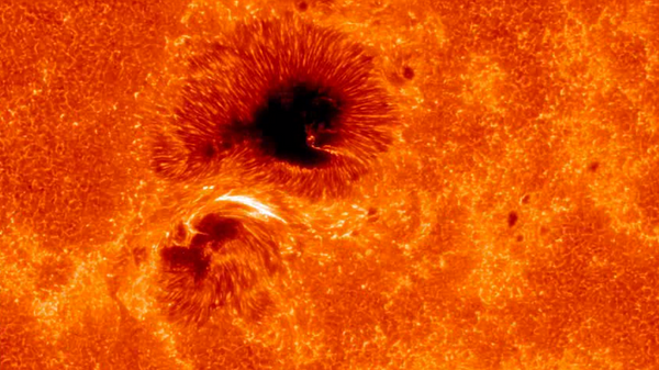 Полярная дыра на Солнце. Изображение — ИКИ РАН и ИСЗФ СО РАН.