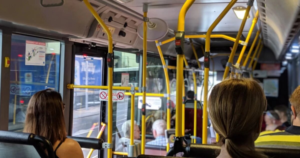 Фото: Mitchell Johnson / unsplash