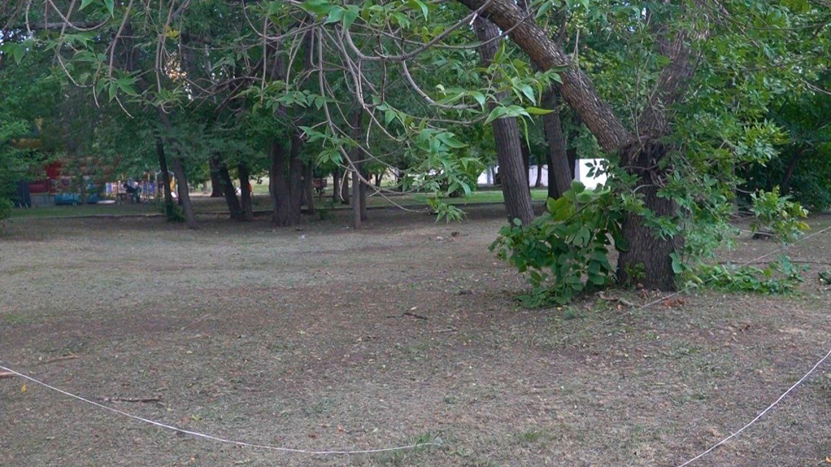    Назван план благоустройства сквера «Территория детства» в СаратовеНовости Саратова и области – Сетевое издание «Репортер64»