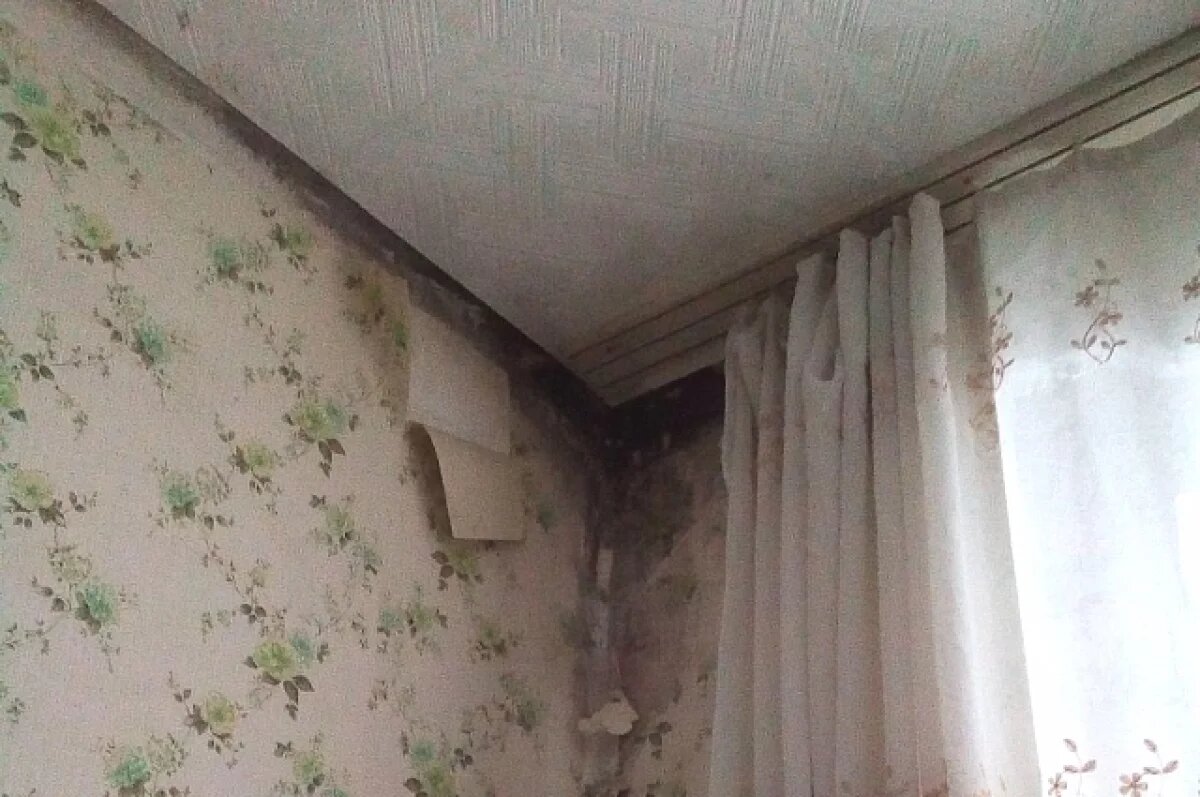    Во Владикавказе местные жители страдают от плесени и протекающей крыши