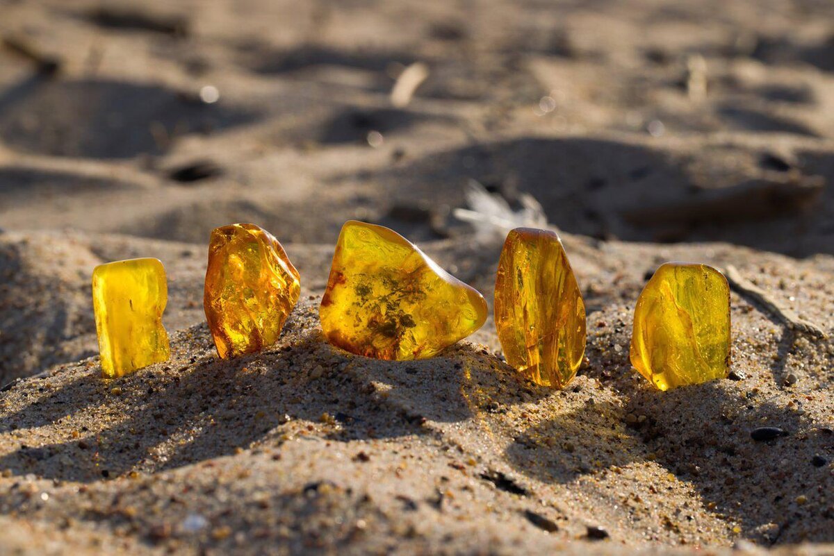 Лекция.Shutterstock