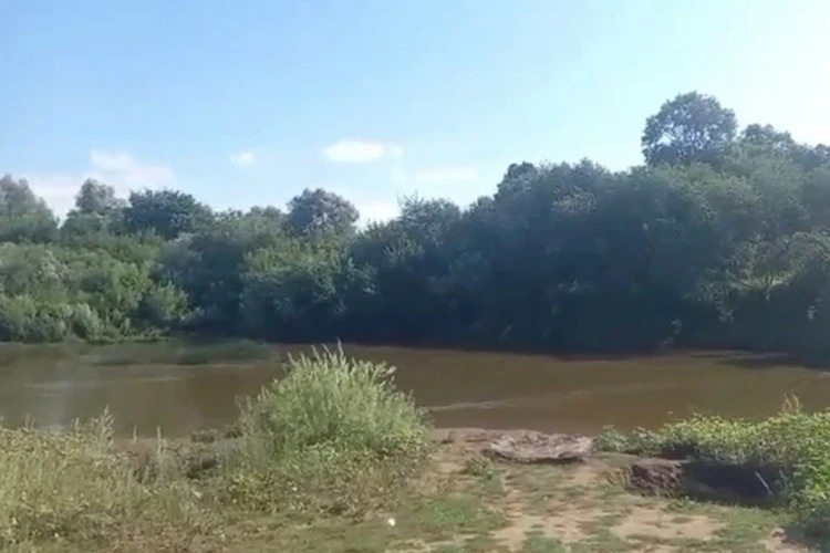 Место, где все случилось