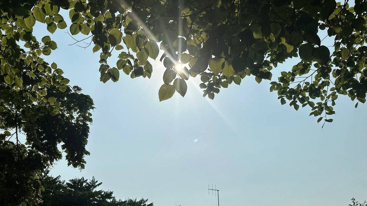    Фото: телеканал «Краснодар»