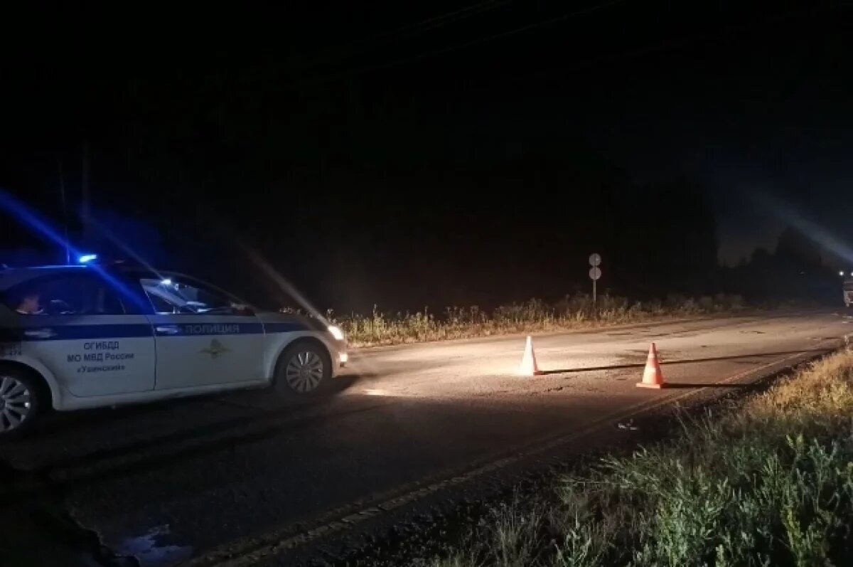    16-летняя велосипедистка погибла в аварии на трассе в Удмуртии