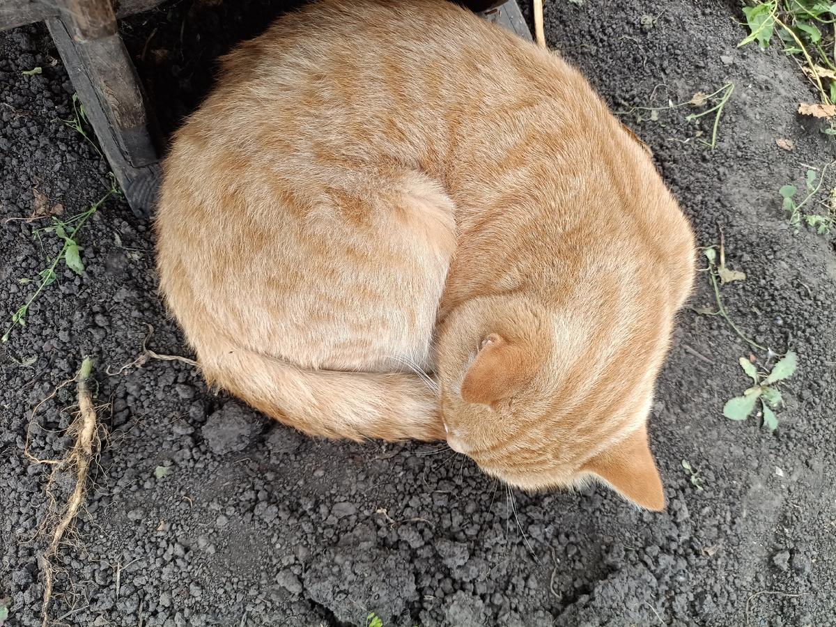 Как раз спит у меня за спиной