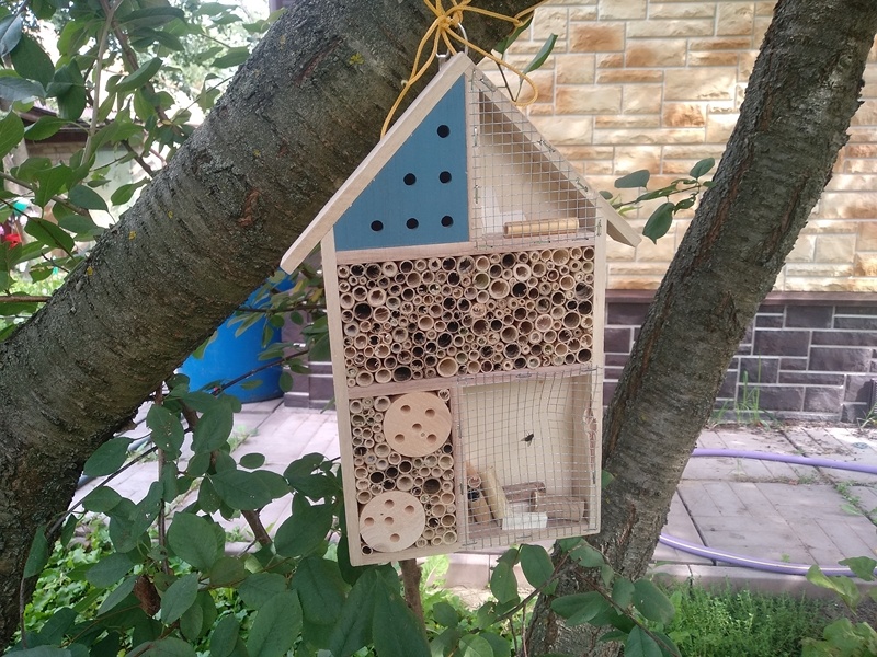 Домик для божьих коровок