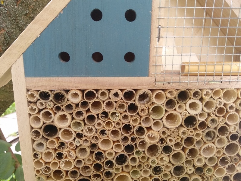 Отделения с трубочками