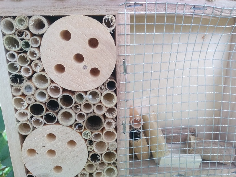 Ещё интересные элементы