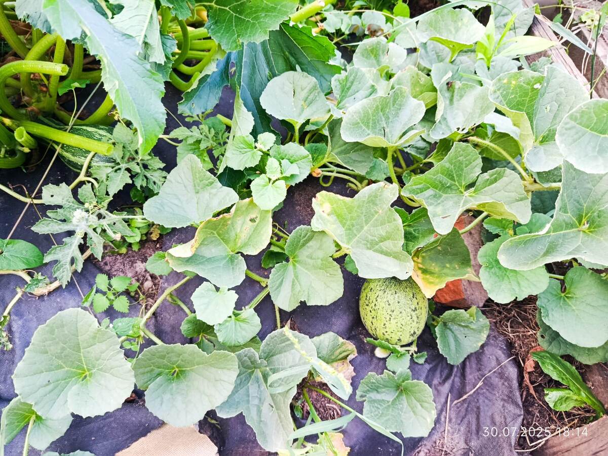 дата фото 30 июля