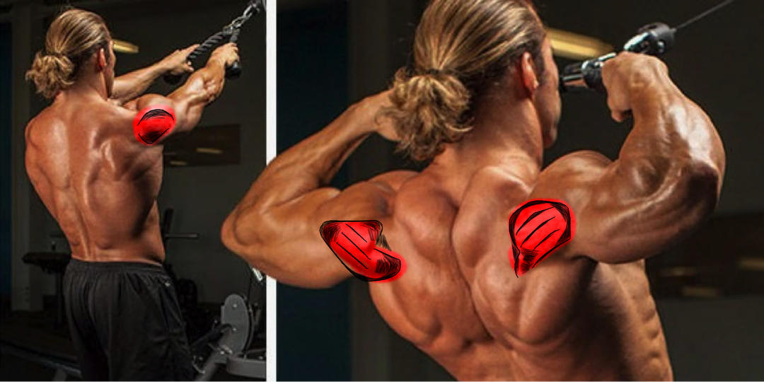 Задние дельты: Ваш секрет широкой спины (и почему они НЕ растут!) — Гайд по прокачке задней дельты