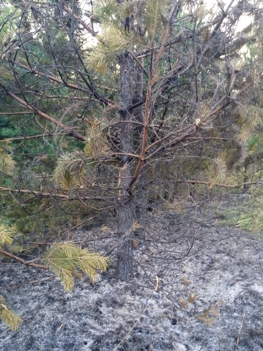    Фото: Госкомитет по безопасности РК