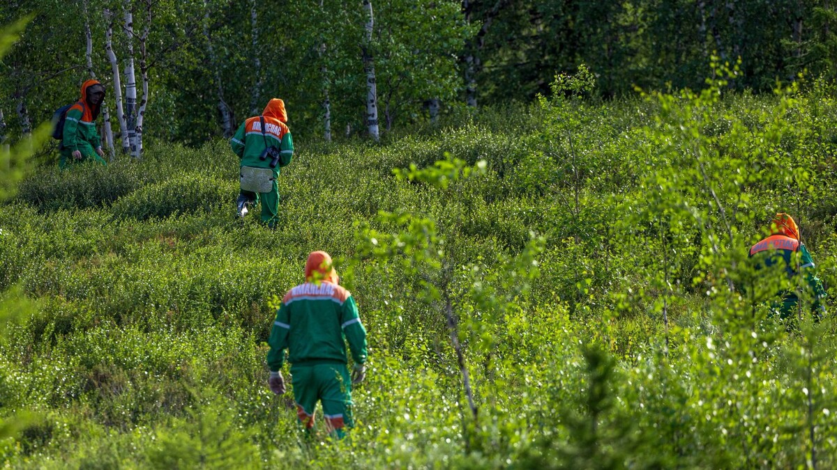    Фото: Федор Воронов/«Ямал-Медиа»