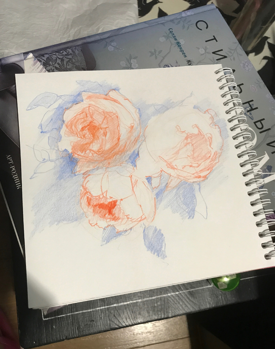 Часто рисую цветные карандашные скетчики, чтобы понять (почувствовать) форму цветка